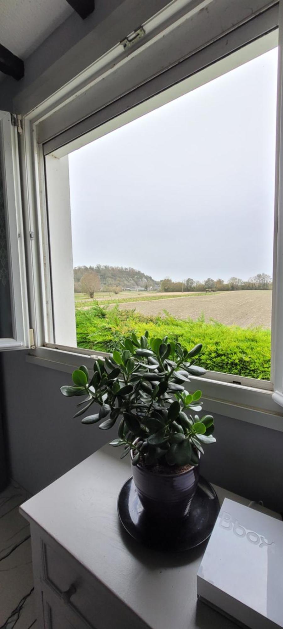 Belle Maison De Entre Saint-malo Et Mont-saint-michel. Le Clos Fleuri